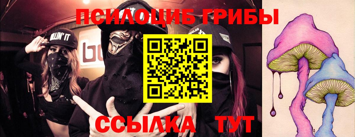 Галлюциногенные грибы Magic Shrooms  Вход с VPN  даркнет сайт  Курчатов 